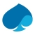 Capgemini's logo